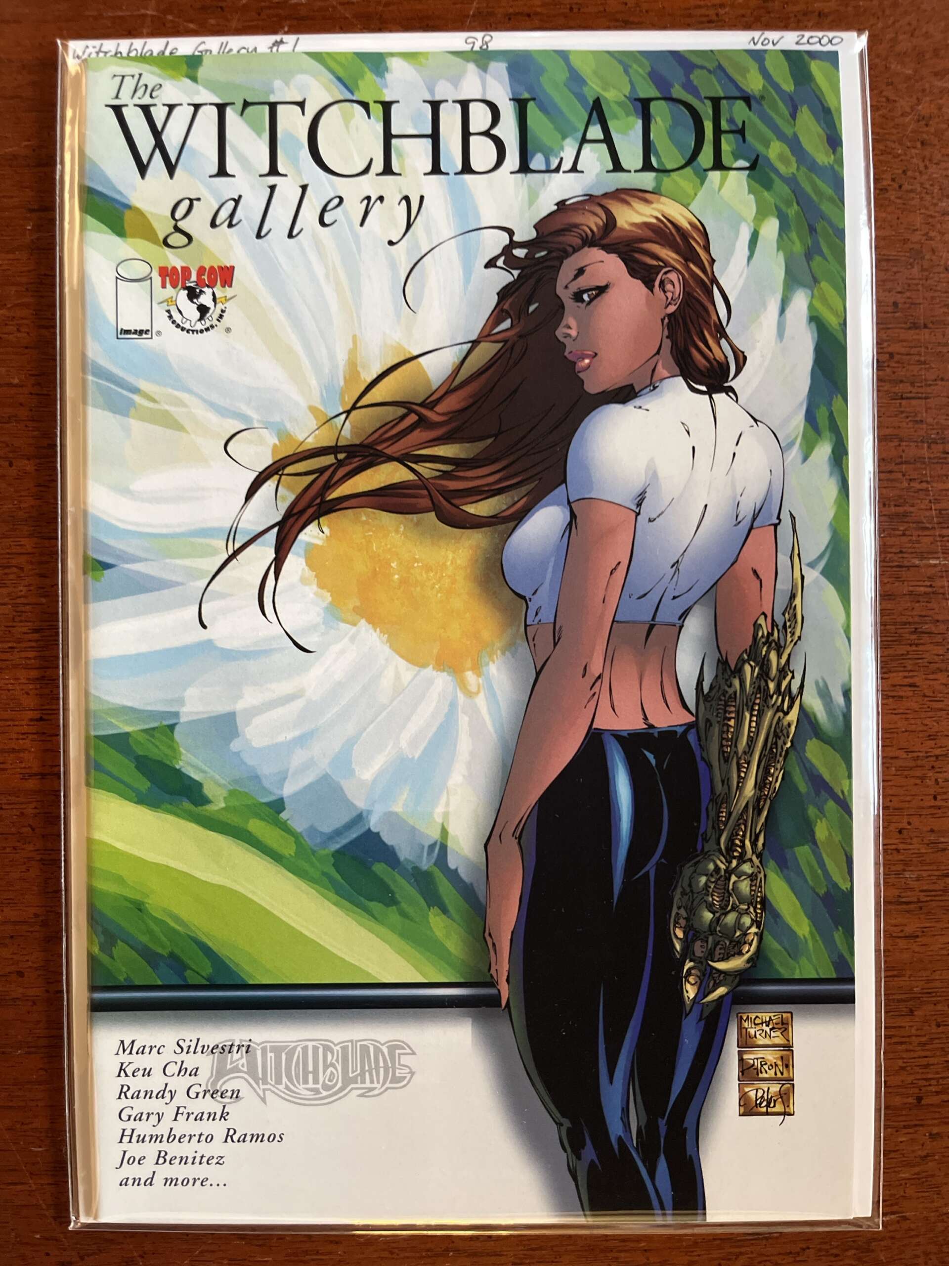 Witchblade Gallery #1